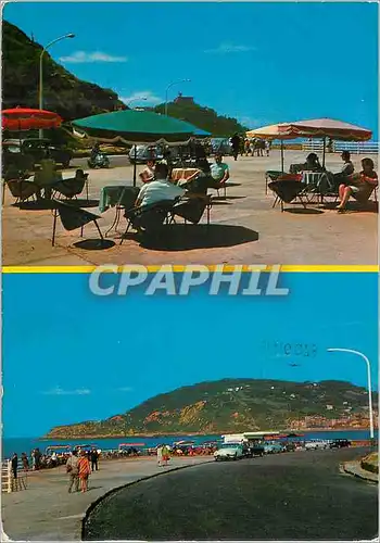 Cartes postales moderne San Sebastian Terrace dans la Promenade de Jose Antonio