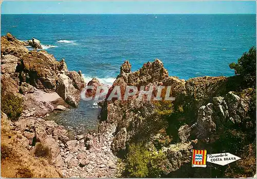 Cartes postales moderne S'Agaro Costa Brava Detalle de la Costa