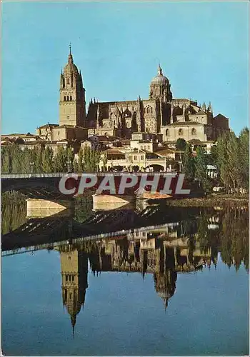 Cartes postales moderne Salamanca Cathedrale et Fleuve Tormes