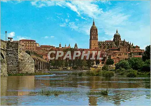 Cartes postales moderne Salamanca Puente Romano