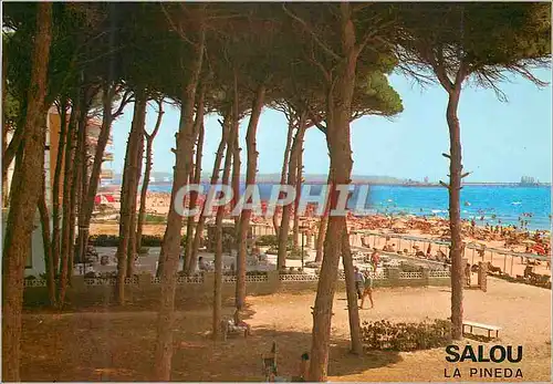 Cartes postales moderne Costa dorada salou la pineda