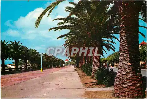 Cartes postales moderne Costa dorada salou tarragona promenade de jacques le conqueron