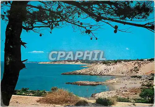 Cartes postales moderne Salou (Tarragona) plage des lis