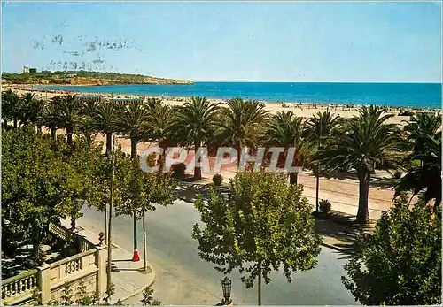 Cartes postales moderne Salou (Costa dorada) tarragona salou promenade de las palmeros