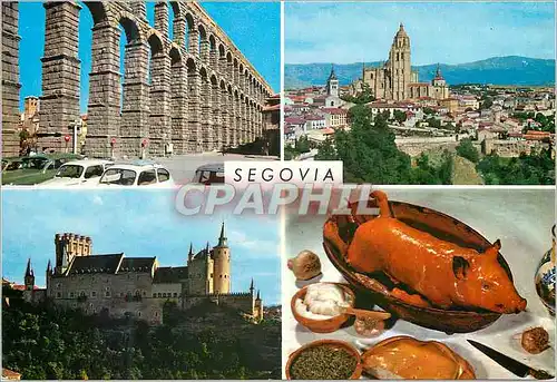 Moderne Karte Segovia detail de la ville Cochon Porc