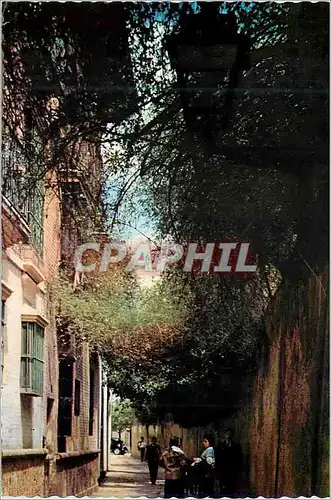 Cartes postales moderne Sevilla petite ruelle