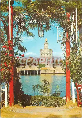 Cartes postales moderne Sevilla la tour d'or