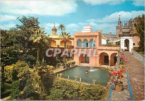 Cartes postales moderne Sevilla reales alcazares de Sevilla jardins de l'alcazar elong de charles V
