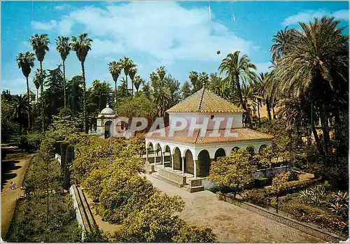 Cartes postales moderne Sevilla reales alcazares jardins