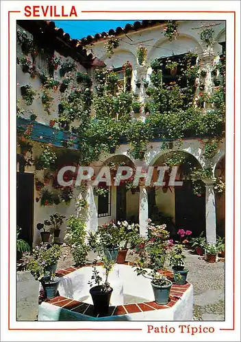 Cartes postales moderne Sevilla cour typique
