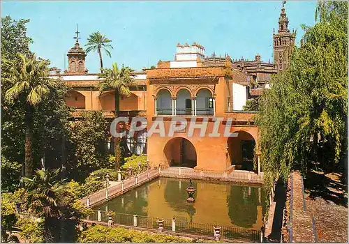 Cartes postales moderne Sevilla la giralda vista desde et alcazar
