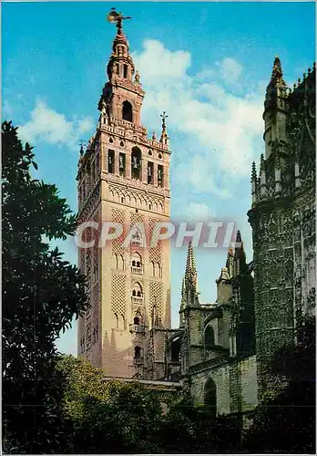 Cartes postales moderne Sevilla catedral y la giralda