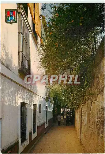 Moderne Karte Sevilla sevilla typique ruelle d'eau