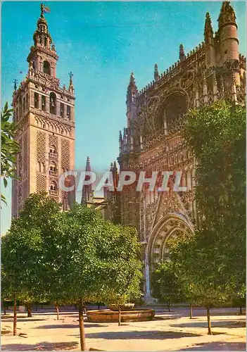 Cartes postales moderne Sevilla cour des orangers