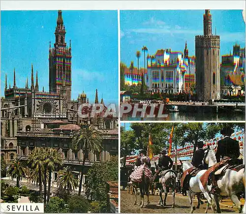 Cartes postales moderne Sevilla beautes de la ville