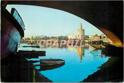 Cartes postales moderne Sevilla rio guadalquivir et tour de l'or