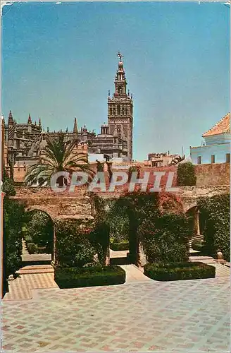 Cartes postales moderne Sevilla patio d'alcazar au fond la giralda