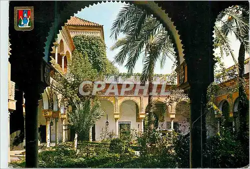 Cartes postales moderne Sevilla palais de las duenas cour principale