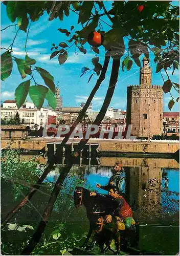 Cartes postales moderne Sevilla rio guadalquivir torre del ore y giralda