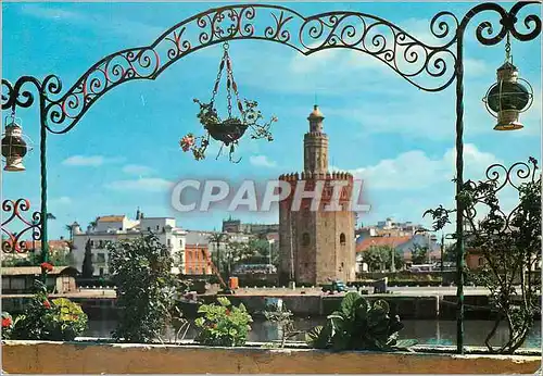 Cartes postales moderne Sevilla le guadalguivir et la tour d'or