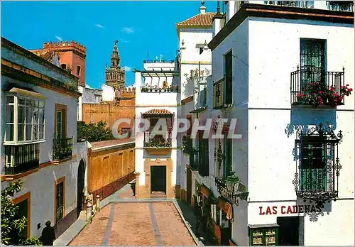 Cartes postales moderne Sevilla barrio sante cruz y giralda