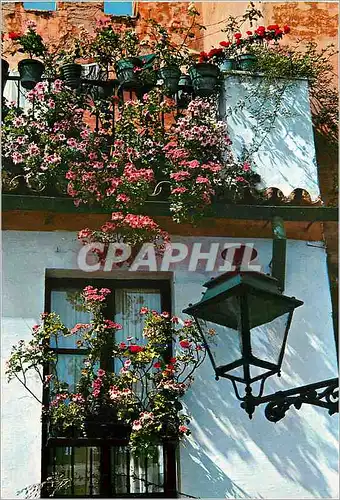 Cartes postales moderne Sevilla barrio de santa cruz detalle