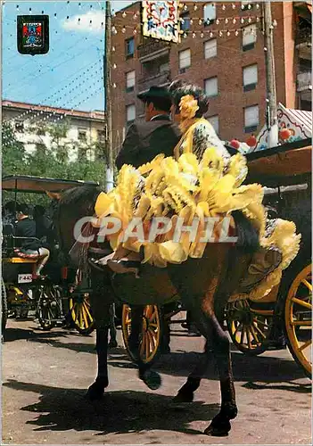 Cartes postales moderne Sevilla promener a la groupe