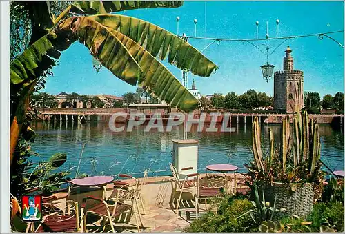 Cartes postales moderne Sevilla tour de l'or et fleuve guadalguivir