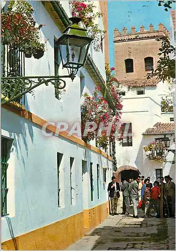 Cartes postales moderne Sevilla barri de santa cruz calle apica