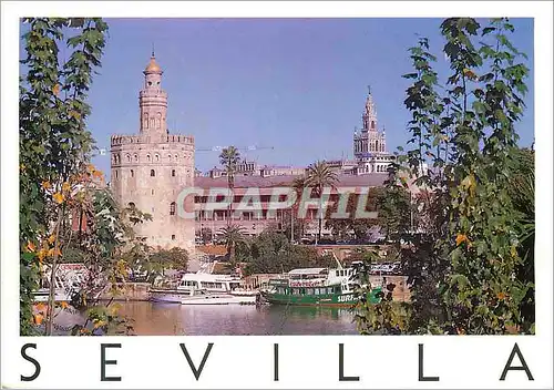 Cartes postales moderne Sevilla torre del oro