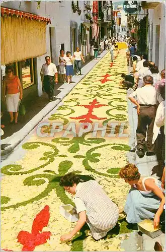 Moderne Karte Catalina tipica Tapis a fleurs de Sitges