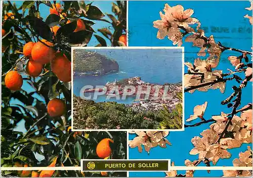 Moderne Karte Puerto de soller mallorca (baleares) naranjos y flor de almendro