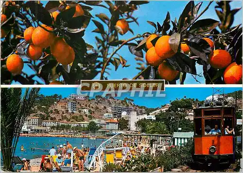 Cartes postales moderne Mallorca port de sollers Tramway Train