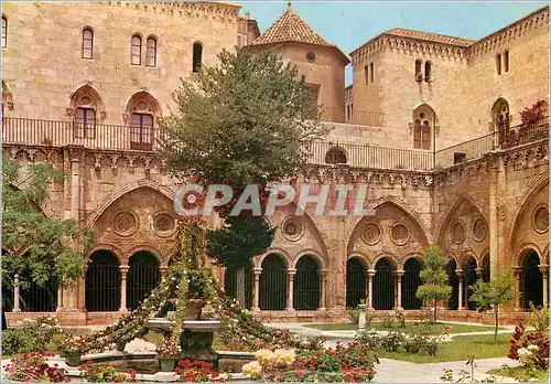 Cartes postales moderne Tarragona (Costa Dorada) Cathedrale Jardin dans le Cloitre