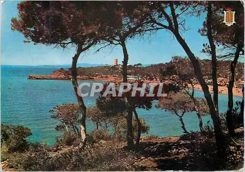 Cartes postales moderne Tarragona (Costa Dorada) Plage et Tour de la Mara