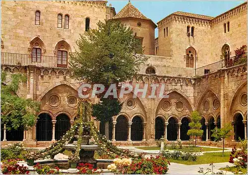 Cartes postales moderne Tarragona (Costa Dorada) Cathedrale Jardin dans le Cloitre