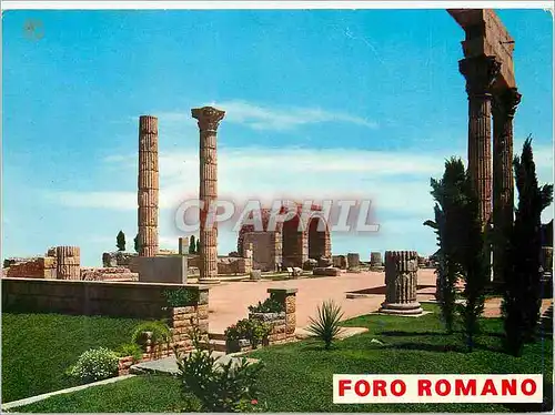 Cartes postales moderne Tarragona (Costa Dorada) Forum Romain