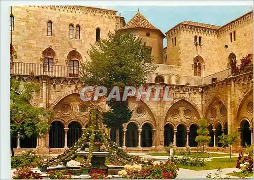 Cartes postales moderne Tarragona (Costa Dorada) Cathedrale Jardin dans le Cloitre