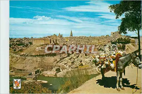 Moderne Karte Toledo Vue partielle Ane Donkey
