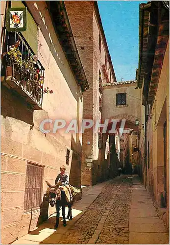 Cartes postales moderne Toledo Ane Donkey