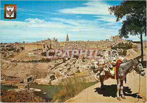 Cartes postales moderne Toledo Vue general Ane Donkey