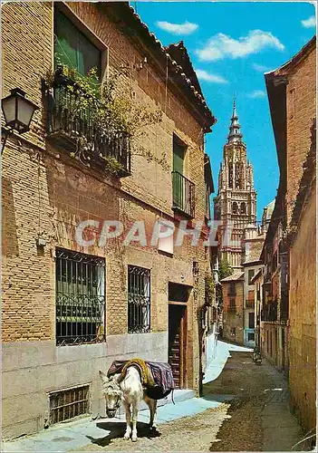 Cartes postales moderne Toledo Rue St Elisabeth Ane Donkey