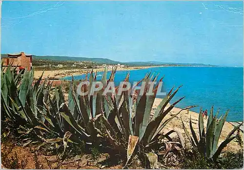 Cartes postales moderne Tarragona Costa Dorada Torredembarra Plage