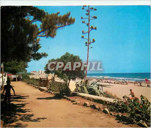 Cartes postales moderne Tarragona Costa Dorada Torredembarra Plage