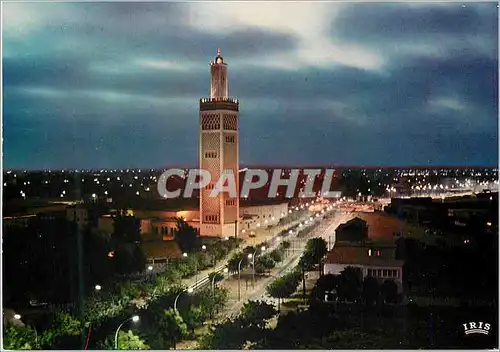 Cartes postales moderne Senegal Dakar La Mosquee Vue de nuit