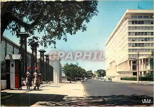 Cartes postales moderne Senegal Dakar Le building du Gouvernement General et l'Avenue Roume