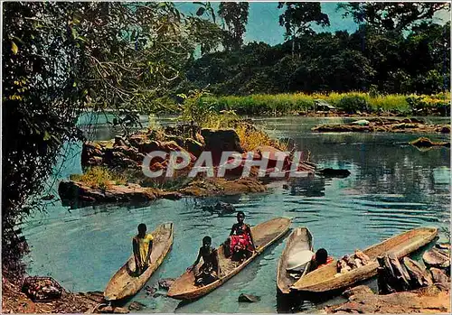 Cartes postales moderne Senegal Retour des Lavandieres