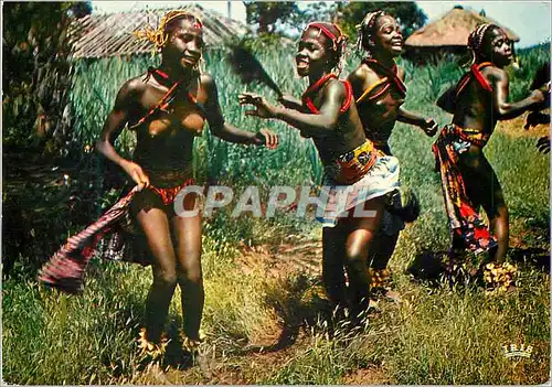 Cartes postales moderne Senegal Danse folklorique