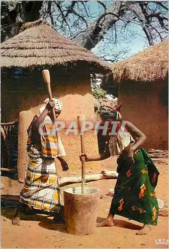 Cartes postales moderne Senegal Preparation du repas