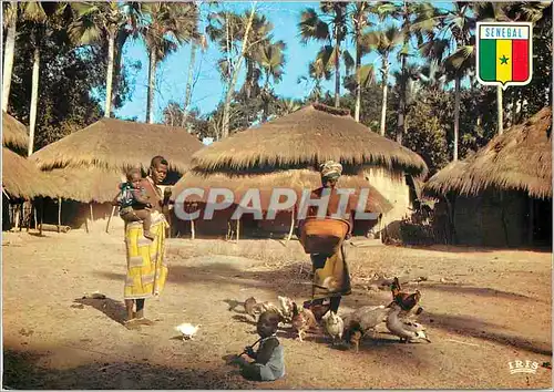 Cartes postales moderne Senegal Village de Basse-Casamance